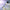 ANA Screen w/Reflex to Components