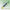 Alkaline Phosphatase