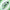 CHLAMYDOPHILA PNEUMONIAE ANTIBODY (IGM)