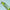 SARS-CoV-2 S1-RBD Antibodies