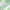 ZnT8 Antibodies