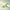 Glutathione