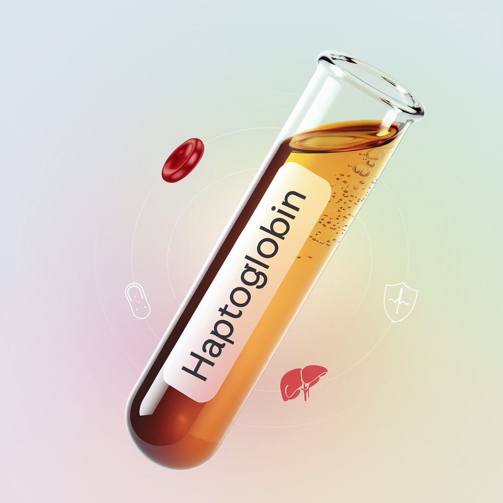 Haptoglobin