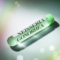 Neisseria gonorrhea, Swab